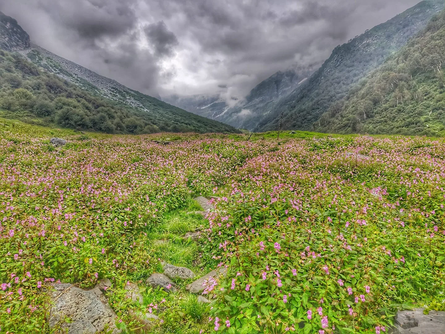 Cheni Pass Trek