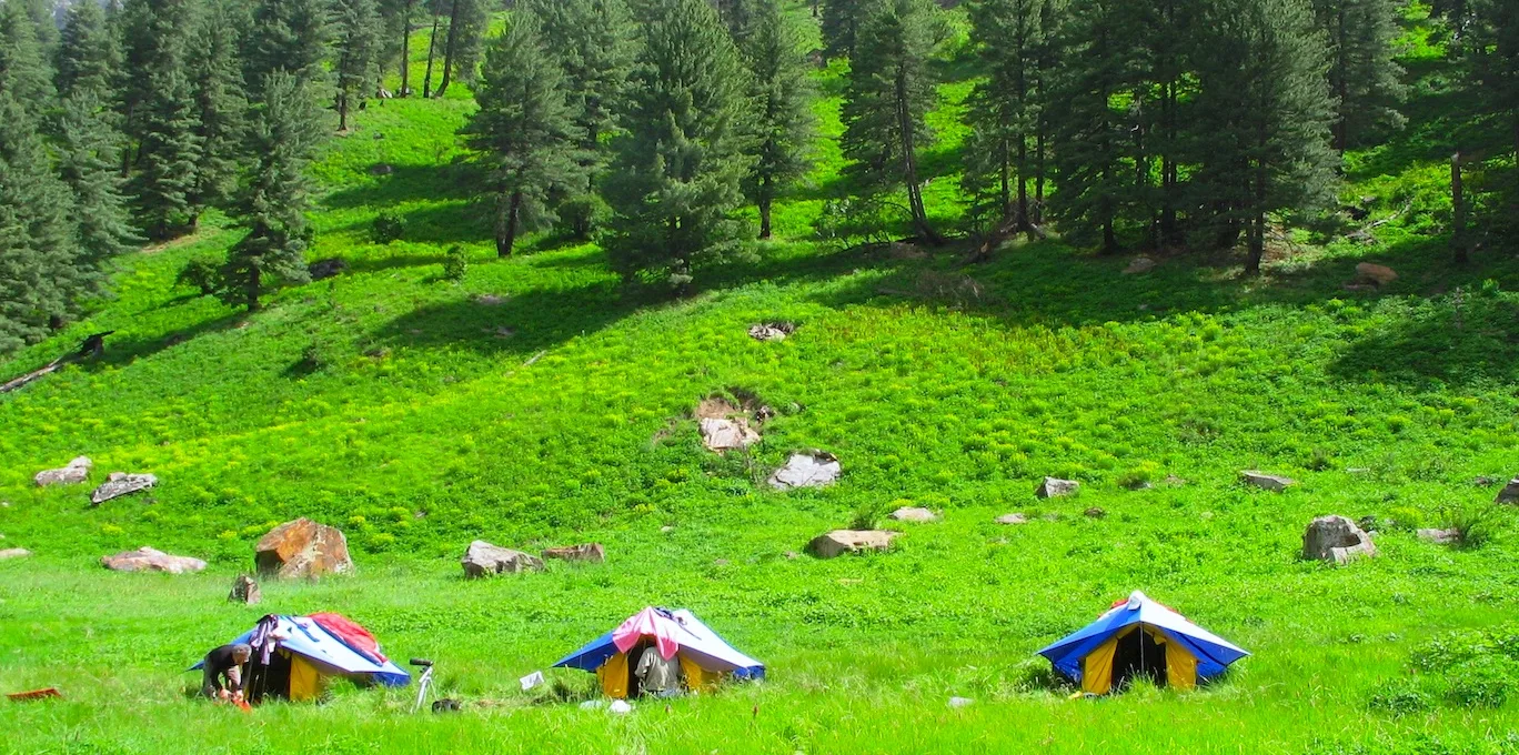 Gara Gushaini Trail
