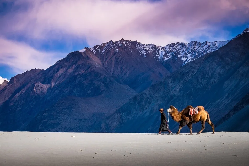 Is Nubra Valley Trek Difficult? โ Altitude & Safety