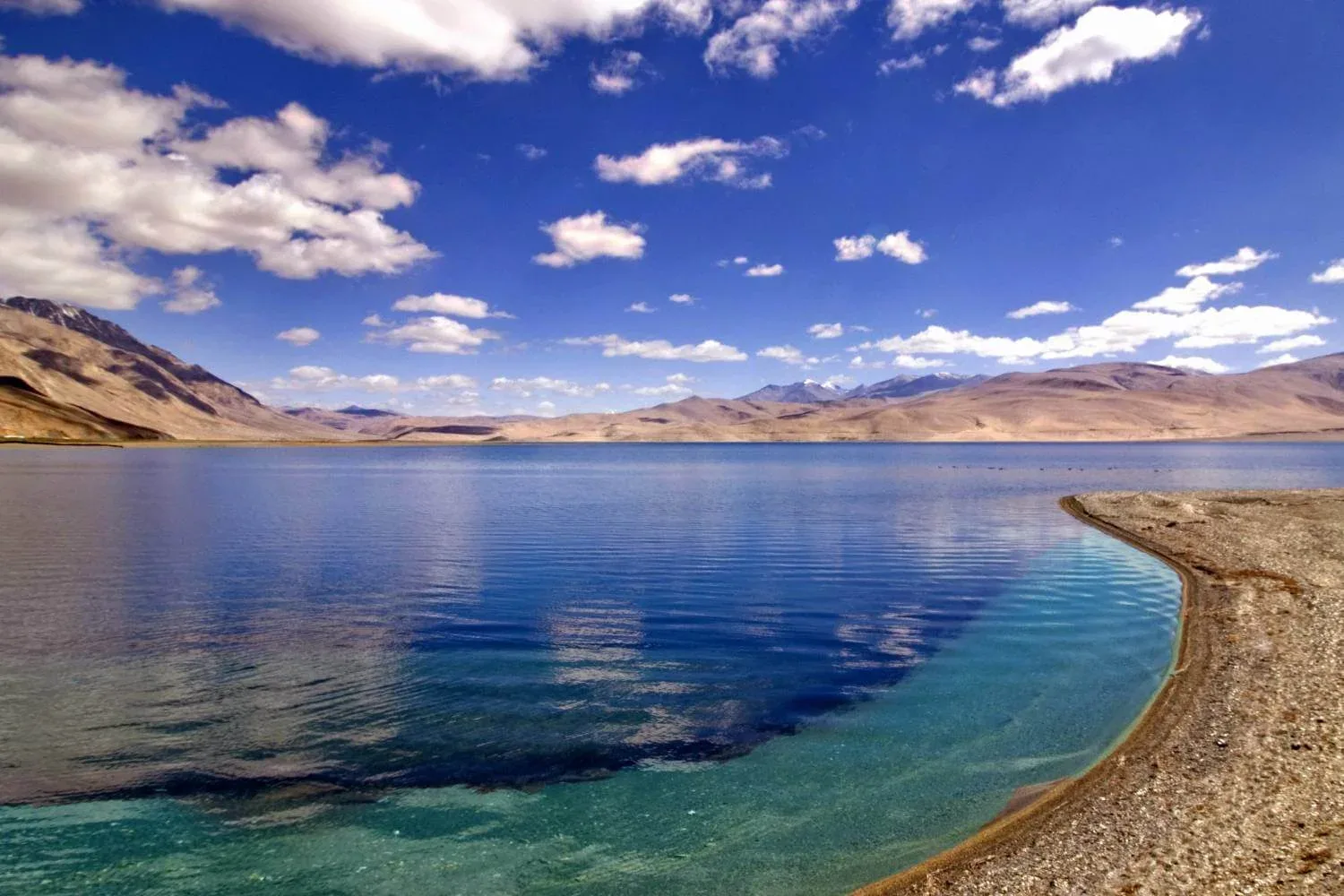 Is Rumtse Tso Moriri Trek Difficult? โ Altitude & Safety