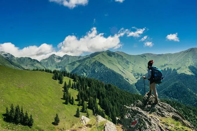Is Pankhu Top Trek Difficult? — Altitude & Safety